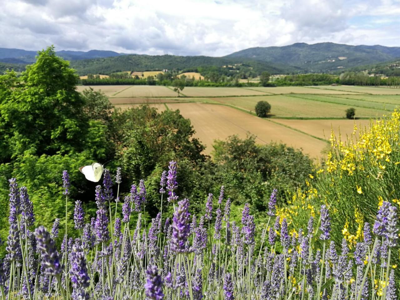 Casa Vacanze Villa Maria Anghiari Εξωτερικό φωτογραφία