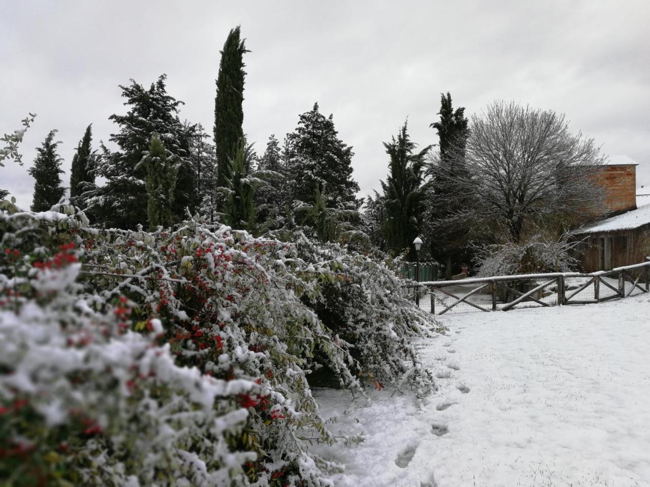 Casa Vacanze Villa Maria Anghiari Εξωτερικό φωτογραφία